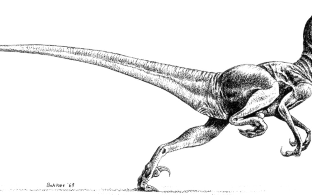 Fallece el paleontólogo J. H. Ostrom