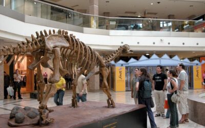 Hemos encontrado el fósil de dinosaurio más moderno de Teruel