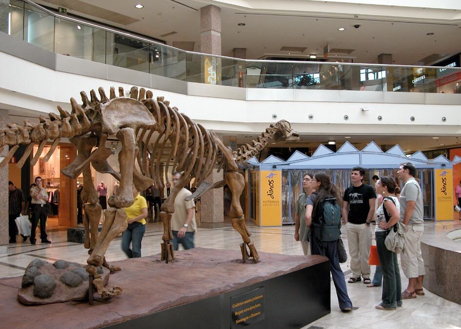 Hemos encontrado el fósil de dinosaurio más moderno de Teruel