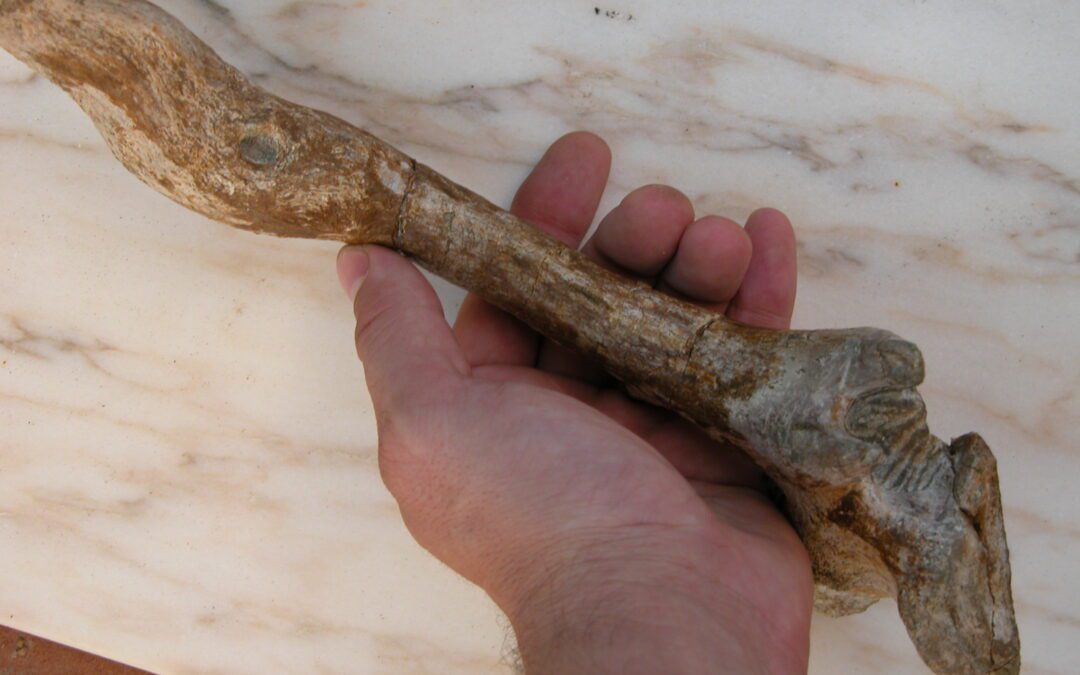 Hemos encontrado pruebas de como murio uno de los dinosaurios de Aren