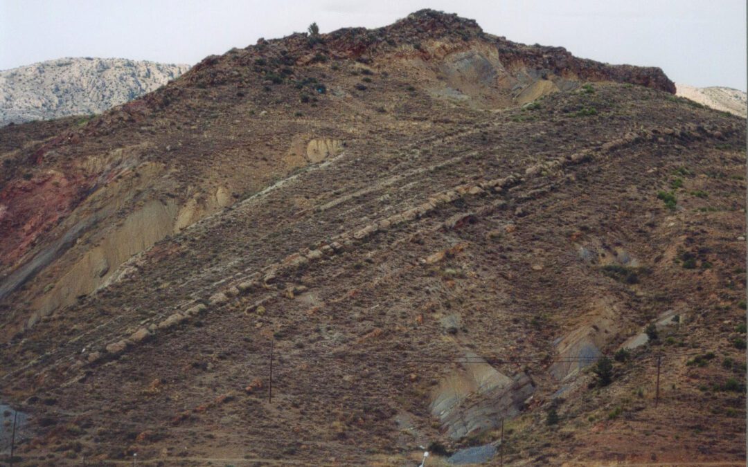 Redescubiertos los primeros dinosaurios españoles en Utrillas, Teruel