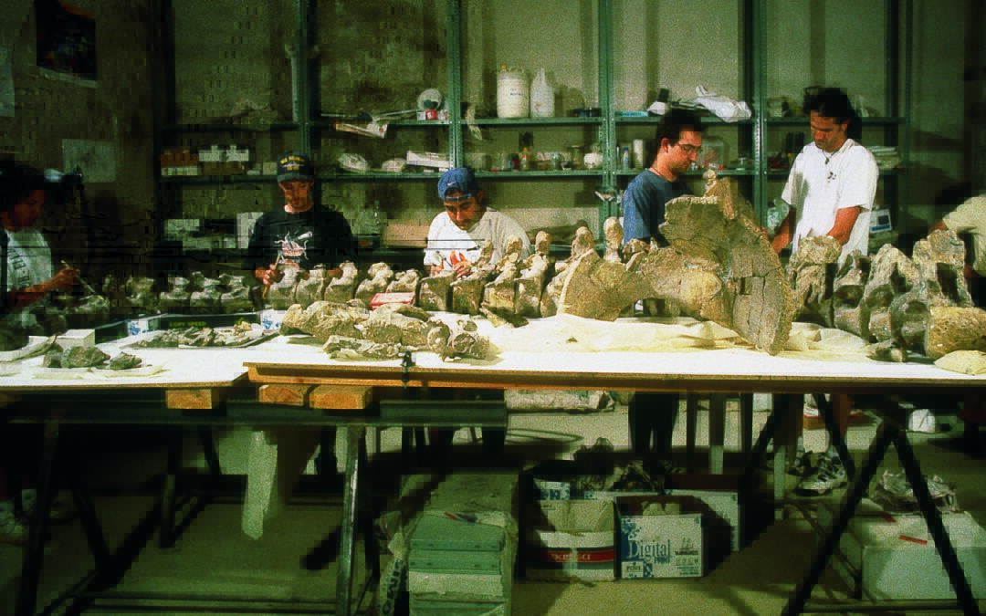 La primera tesis doctoral sobre un dinosaurio aragonés