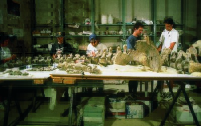 La primera tesis doctoral sobre un dinosaurio aragonés