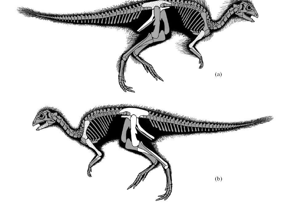 La ética entre investigadores. Kulindadromeus, Galvesaurus y otros comentarios