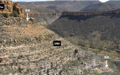 Reconstruyendo los lugares donde vivían los dinosaurios del Cretácico Inferior de Teruel