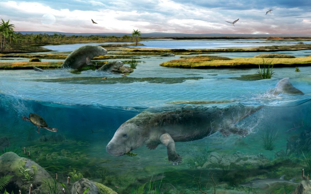 Descubierta una “vaca marina” que vivió en los Pirineos oscenses hace 42 millones de años