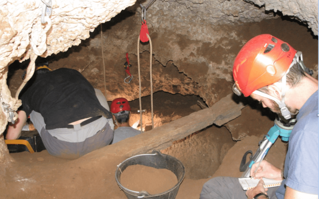 Nuevos datos sobre los ecosistemas del centro de la península en el Cuaternario. La Cueva de los Torrejones