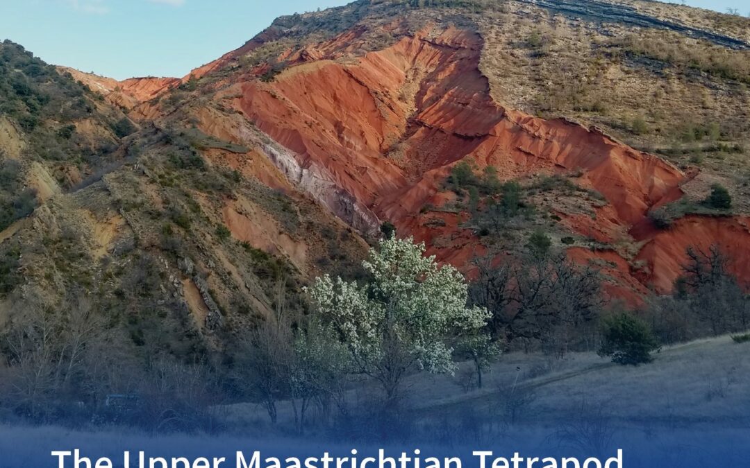 La extinción de los dinosaurios hay que buscarla en los Pirineos aragoneses