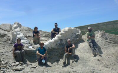 Recuperada una columna vertebral de más de 5 metros de un dinosaurio gigante en Teruel