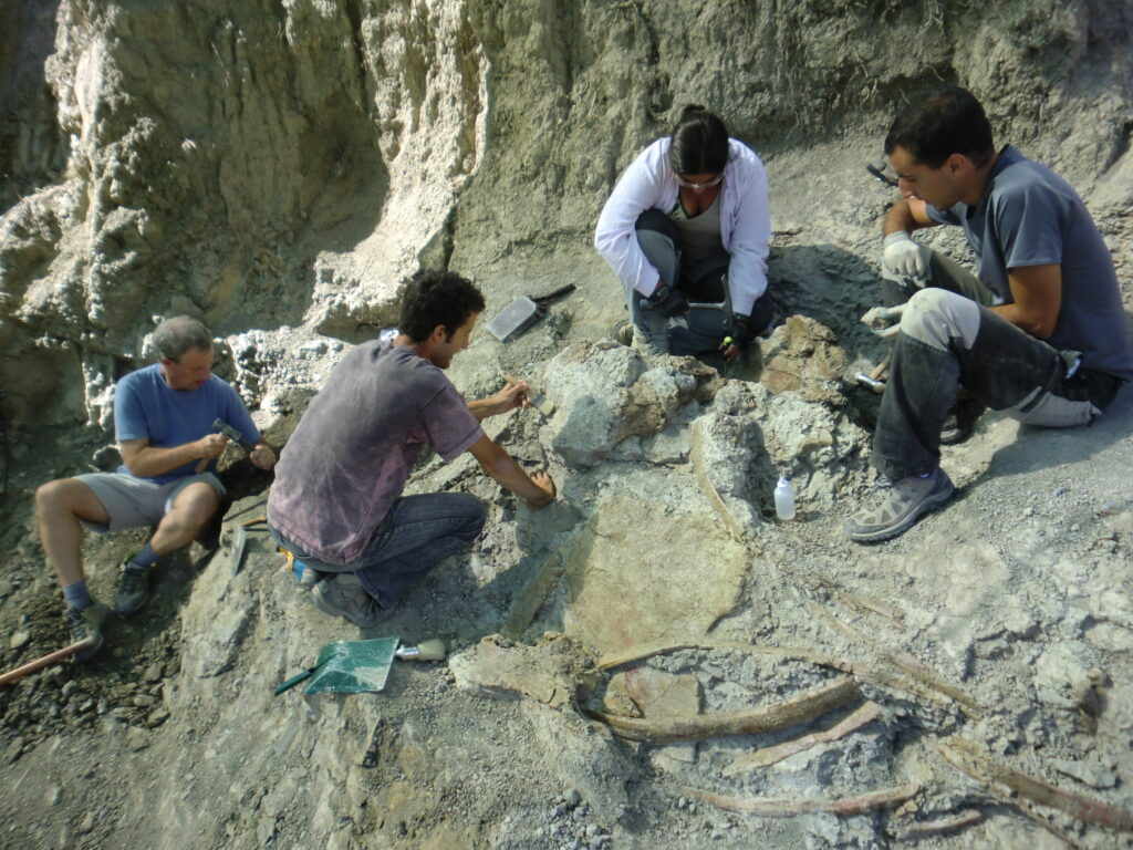 equipo de excavación de Abditosaurus
