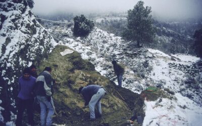 Arsis (Peñarroya de Tastavins), Teruel