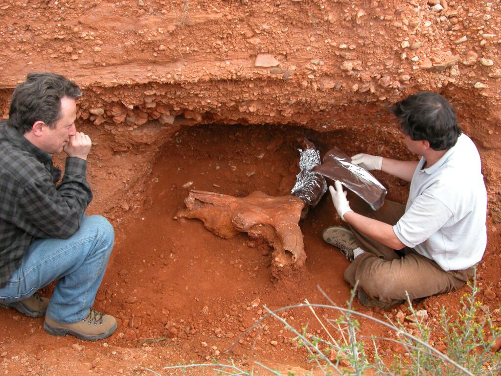 Preparando la extracción del uro de Ariño