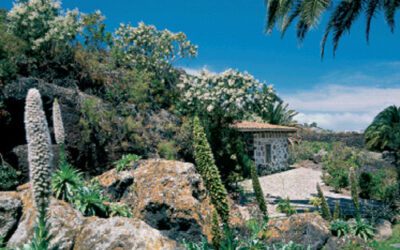 Programa de las jornadas de RSEHN