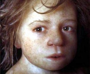 Evolución Humana: un largo camino desde el Paleolítico Inferior