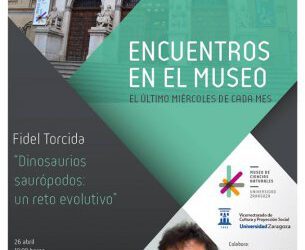 Charla sobre sobre dinosaurios saurópodos
