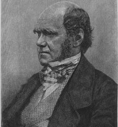 Todo sobre Darwin en Internet