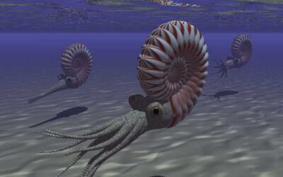 Ambientes marinos del Mesozoico