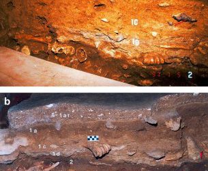 La estepa fría ocupaba toda Francia hace 70.000 años