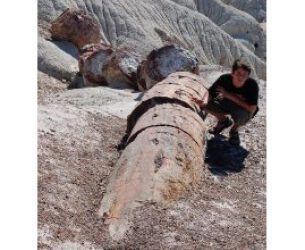 Abierta la preinscripción para al master de Geología de la Universidad de Zaragoza