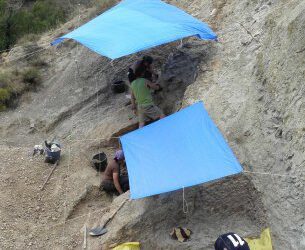 Buscando nuevos iguanodontes