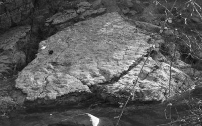 Descubierto un nuevo yacimiento de icnitas de dinosaurios ornitópodos