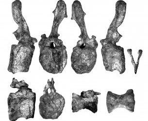 Fidel Torcida, master en Geología por la Universidad de Zaragoza