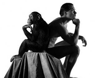 XVIII Seminario Orotava de Historia de la Ciencia