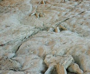 La Unesco ya está evaluando los yacimientos de icnitas de dinosaurios ibéricos