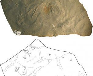 Icnitas de hace 250 millones de años en el Moncayo