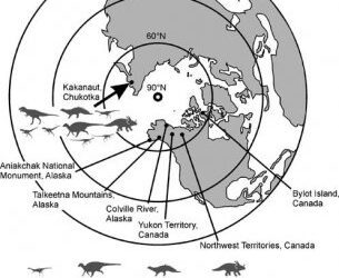 Cambios climáticos y dinosaurios polares