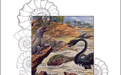 El yacimiento de los acantilados de las vacas negras