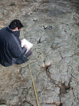 Instituto Universitario de Ciencias Ambientales de Aragon (IUCA)