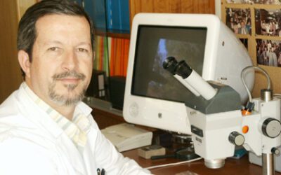 Causas de los principales eventos de la extinción en el Cenozoico