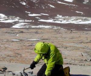 Descubiertas en la Antártida madrigueras fósiles producidas por tetrápodos hace 245 millones de años