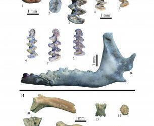 Reconstrucción paleoambiental del Pleistoceno del entorno de la cueva de Askondo