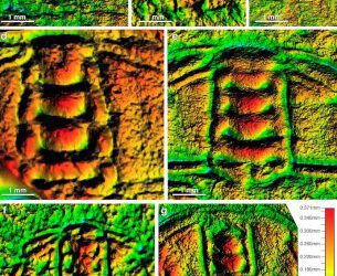 Una nueva técnica para estudiar trilobites con poco relieve