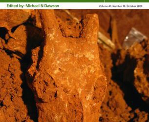 Una foto nuestra en portada del Journal of Biogeography