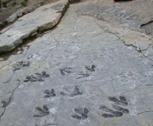 Clasificación mundial de las universidades