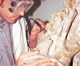 Nueva aportación sobre los dinosaurios jurásicos ibéricos