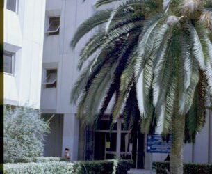 Dia de la Tierra 2009