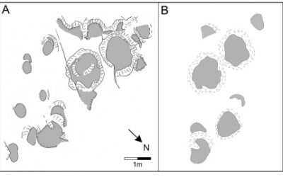 Descubierto el misterio de Gigantosauropus