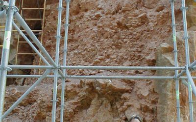 Nuevos datos sobre la Bioestratigrafía de Atapuerca