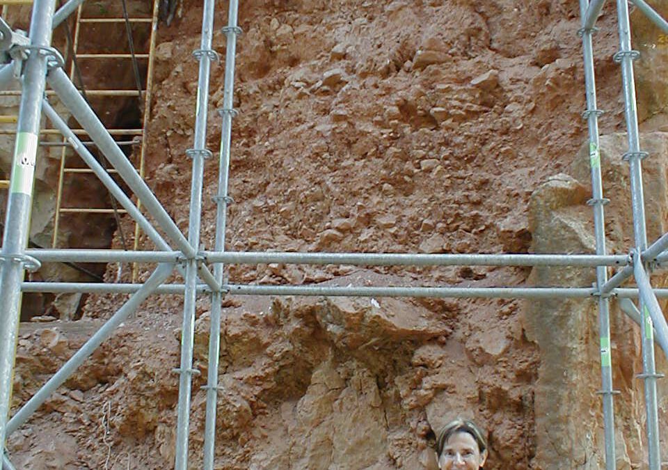 Nuevos datos sobre la Bioestratigrafía de Atapuerca