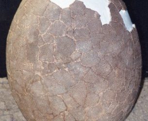 Miguel Moreno de estancia en la Universidad Complutense