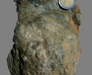 Encontradas las primeras icnitas de dinosaurios estegosaurios del Cretácico de la Península Ibérica