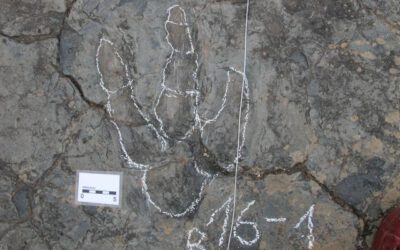 Se acerca la propuesta de las Icnitas de dinosaurios Ibéricos a Patrimonio de la humanidad