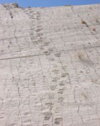 Las Icnitas de Toro Toro como una de las Maravillas Naturales del Mundo