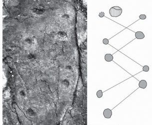Se han encontrado las evidencias más antiguas de los tetrápodos