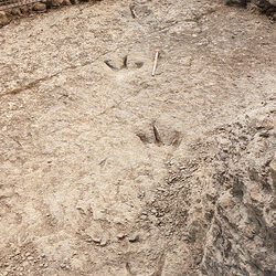 Empieza a andar Paleoaventura