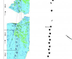 El dinosaurio riojano que cojeaba